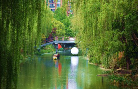昭通市：“五措施”推进赤水河流域生态环境整治 “百日攻坚行动”跑出加速度