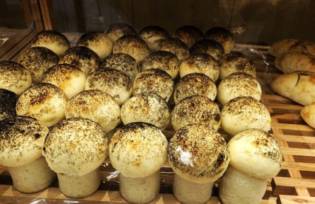 金华市“共享粮仓”：创新公益，共筑节约新风尚