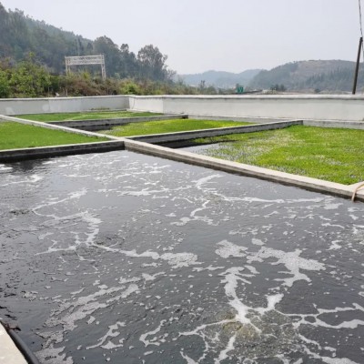 养殖污水肥料利用技术服务测试22