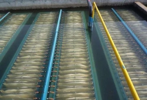 生物膜法一般会运用到哪些填料